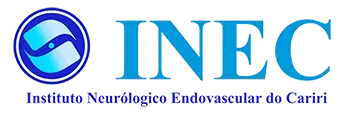 Logo INEC copy